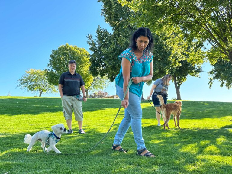 A trainer works with a dog class in a park.