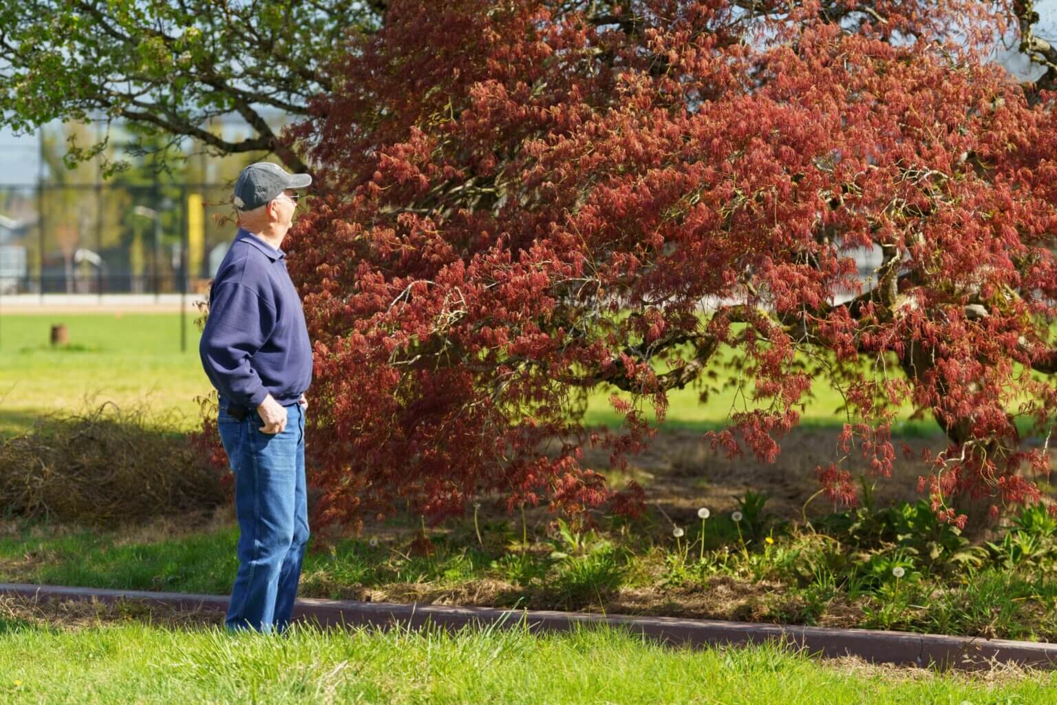 Gradin Community Sports Park | Oregon Lottery