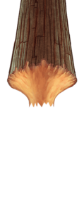 Beaver State Bonus Bonanza tout overlay
